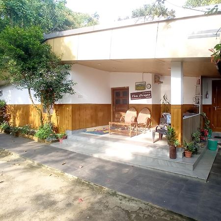 Munnar Home Stay Teadrops Plantation Villa Екстериор снимка