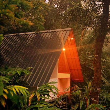 Munnar Home Stay Teadrops Plantation Villa Екстериор снимка