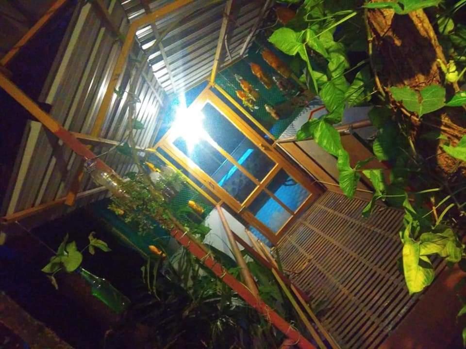 Munnar Home Stay Teadrops Plantation Villa Екстериор снимка