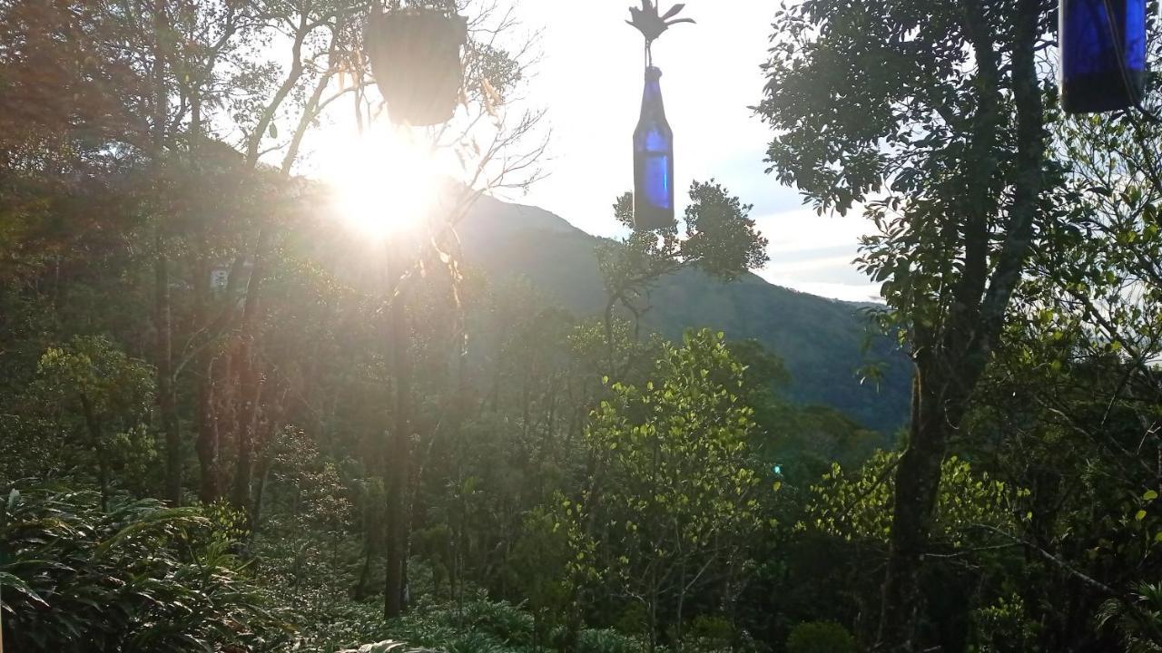 Munnar Home Stay Teadrops Plantation Villa Екстериор снимка