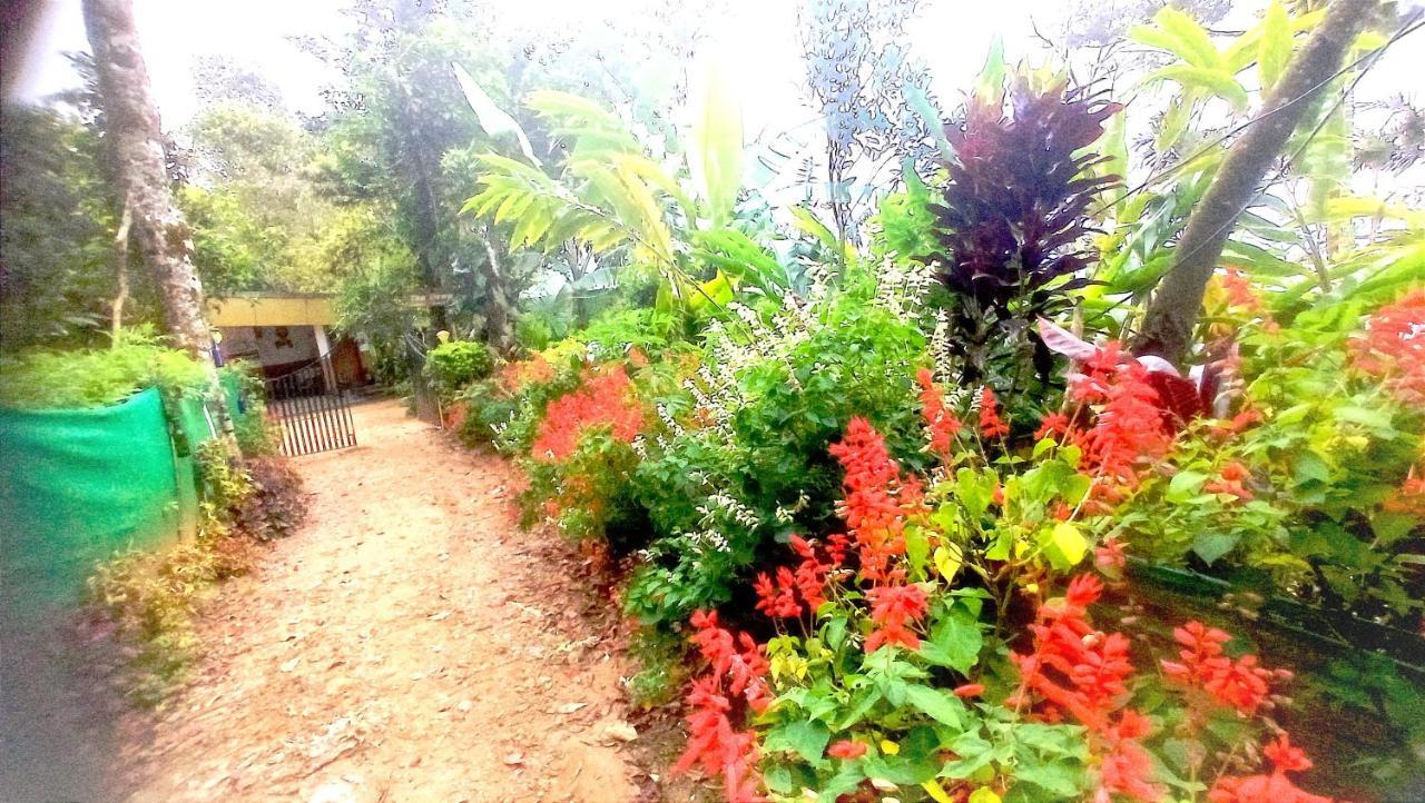 Munnar Home Stay Teadrops Plantation Villa Екстериор снимка