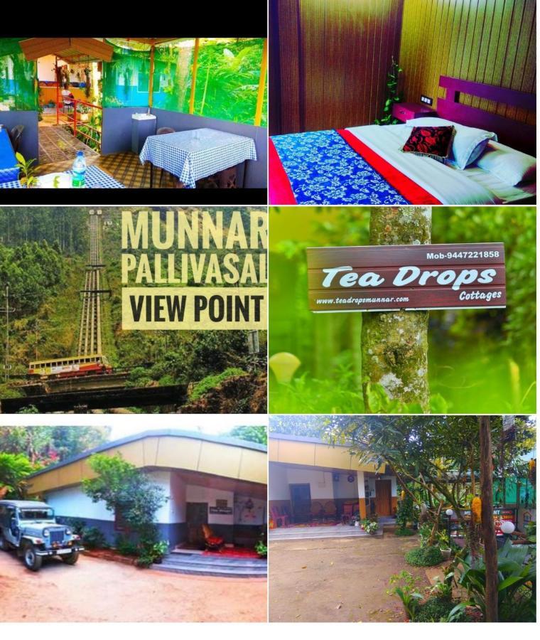 Munnar Home Stay Teadrops Plantation Villa Екстериор снимка