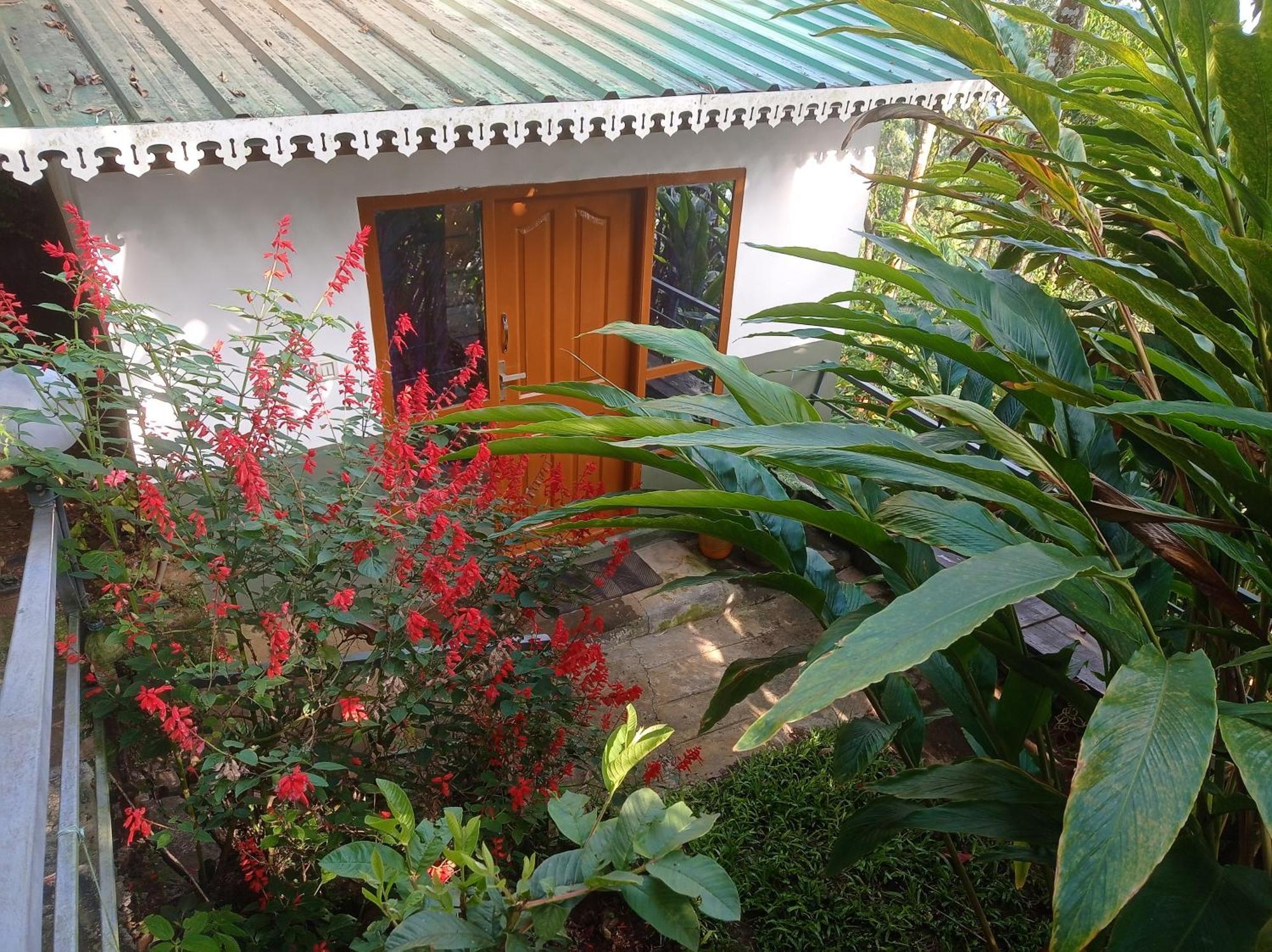 Munnar Home Stay Teadrops Plantation Villa Екстериор снимка