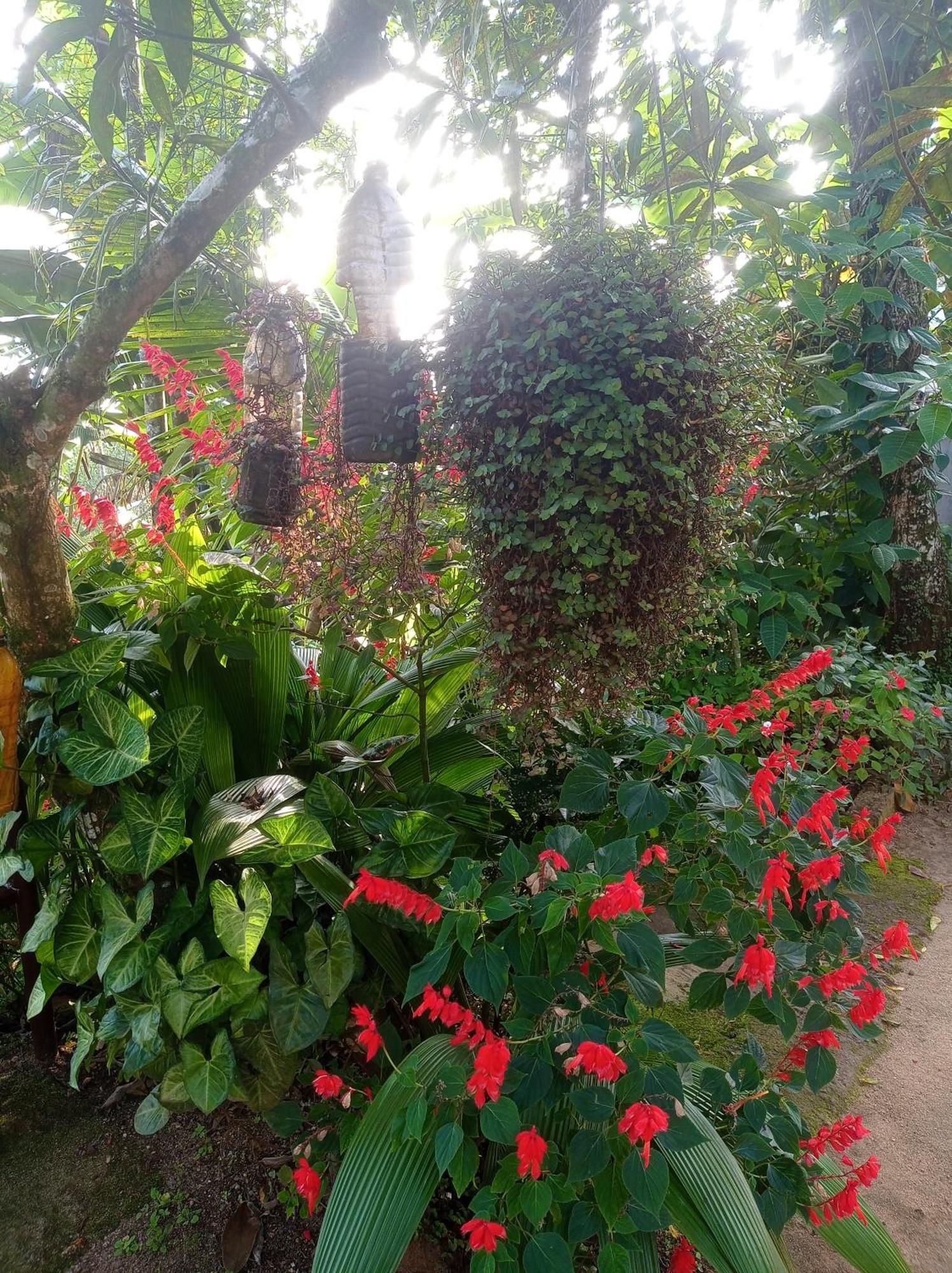 Munnar Home Stay Teadrops Plantation Villa Екстериор снимка