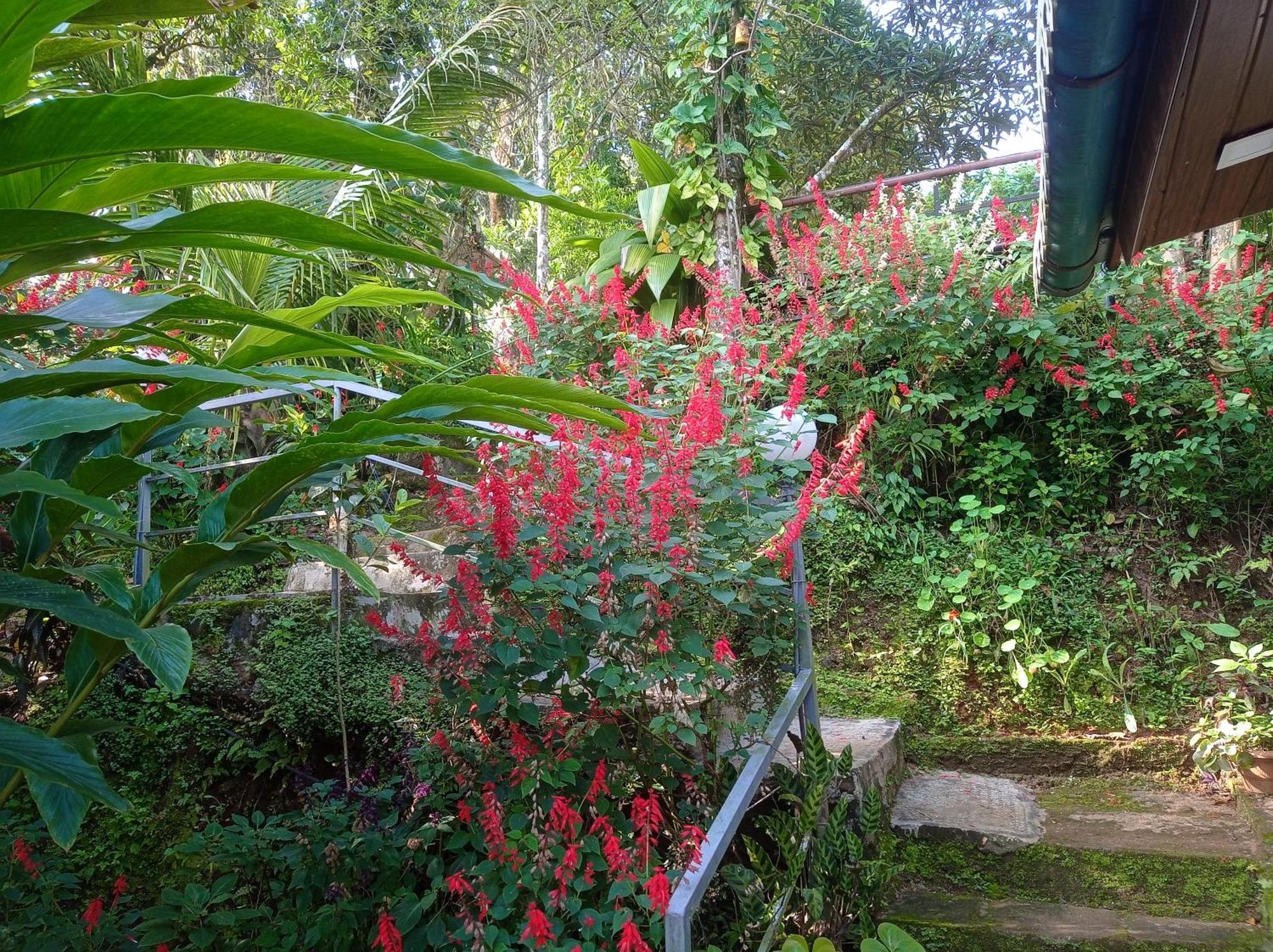 Munnar Home Stay Teadrops Plantation Villa Екстериор снимка