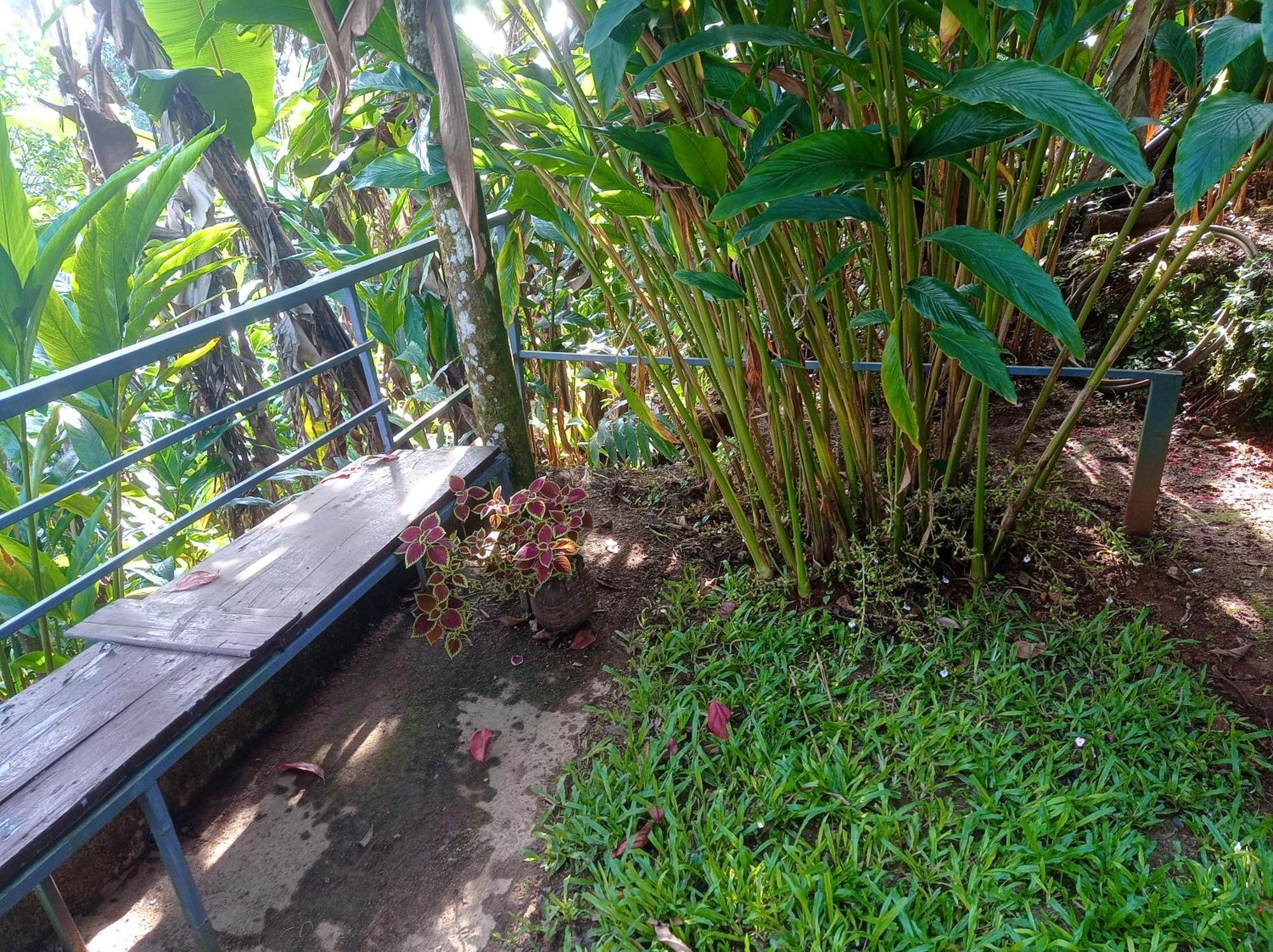 Munnar Home Stay Teadrops Plantation Villa Екстериор снимка