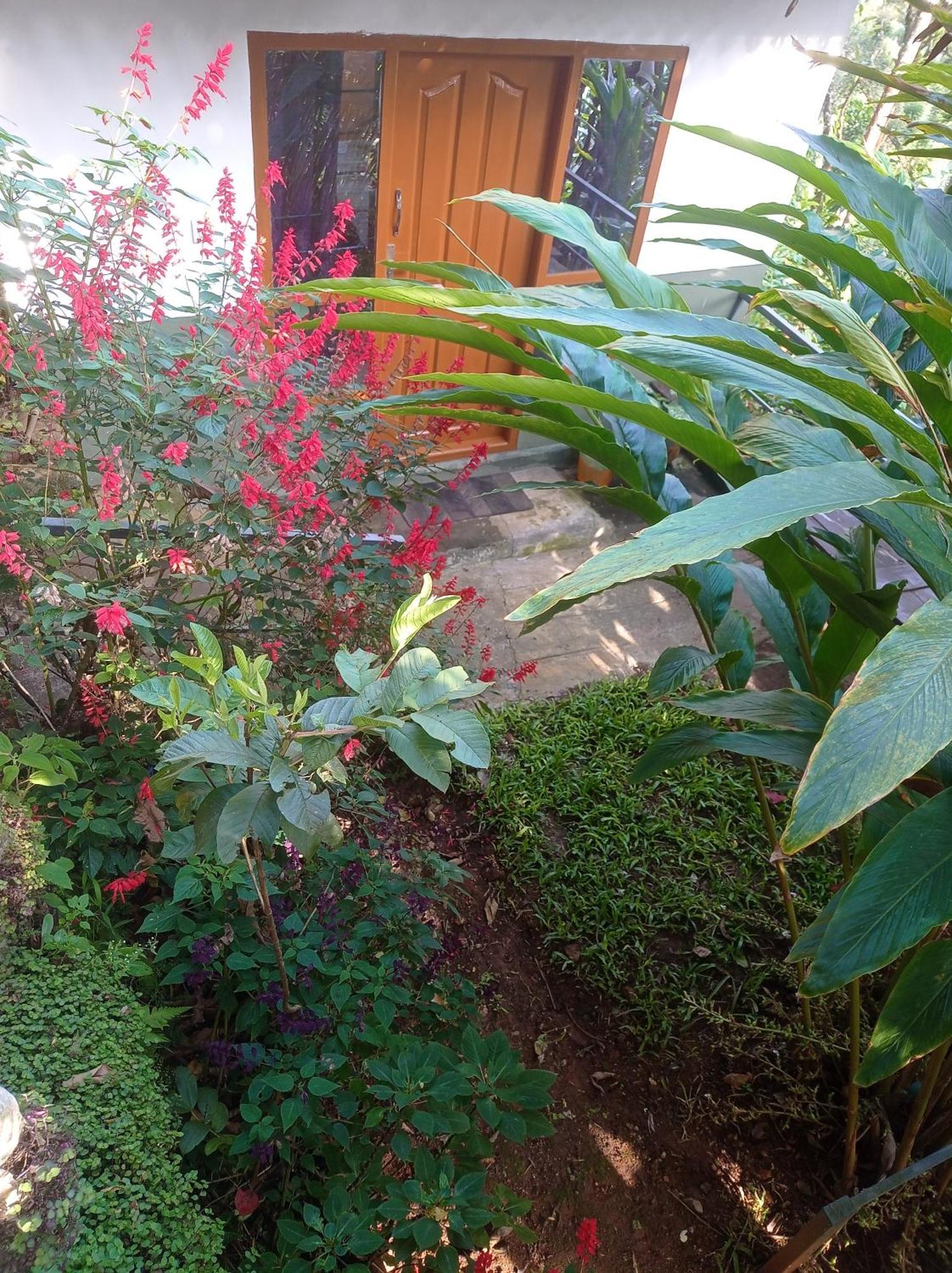 Munnar Home Stay Teadrops Plantation Villa Екстериор снимка