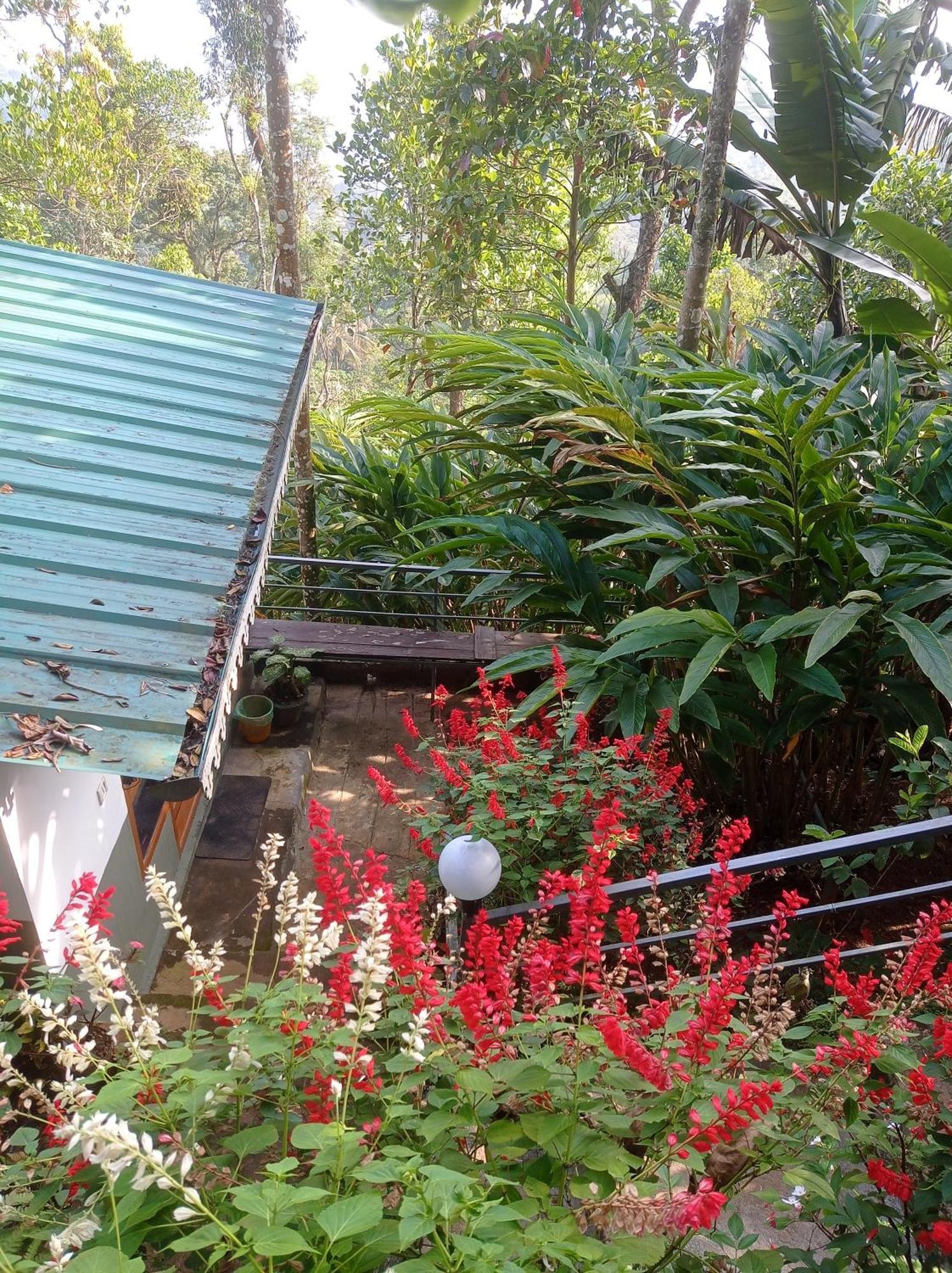 Munnar Home Stay Teadrops Plantation Villa Екстериор снимка